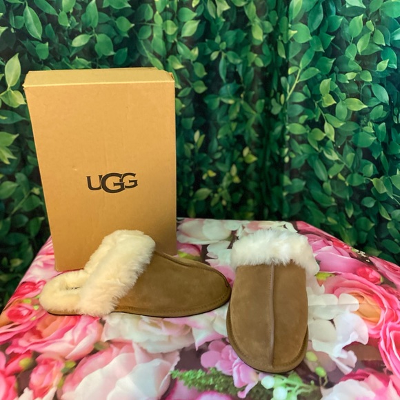 BNIB UGG Scuffette slippers tan sz5  suede authentic - Picture 4 of 7